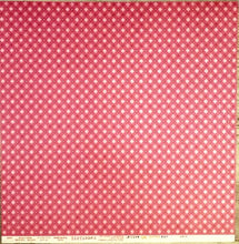 Load image into Gallery viewer, Little yellow bicycle  - sweet love love birds / pink gingham double sided cardstock 12 x 12