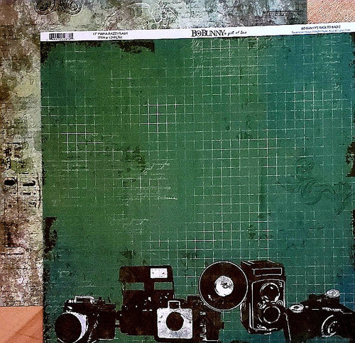 Bo Bunny - double sided paper 12 x 12 - Mama-razzi flash