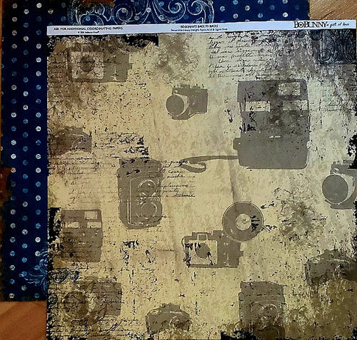 Bo Bunny - double sided paper 12 x 12 - Mama-razzi dot / old camera
