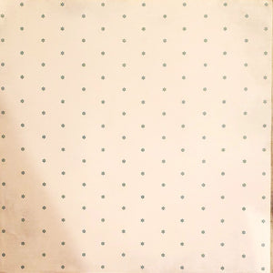Karen Foster - single sided paper 12 x 12 - little blue snowflakes on white
