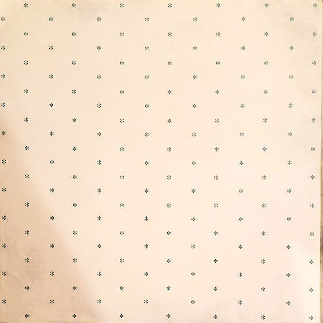 Karen Foster - single sided paper 12 x 12 - little blue snowflakes on white