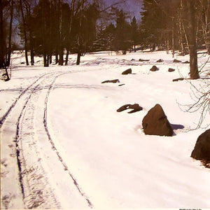McRice LLC  - single sided paper 12 x 12 - snowmobile tracks