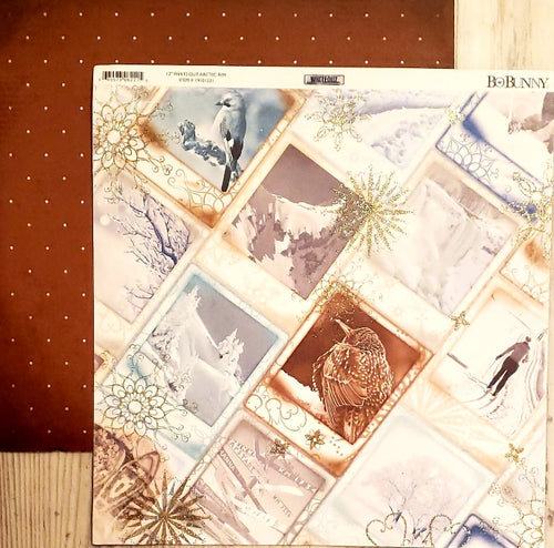 Bobunny press - double sided paper sheet 12 x 12 - whiteout artic rim glitter
