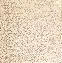 Load image into Gallery viewer, Pebbles Inc -  double sided paper cardstock 12 x 12 - snow fun flakes / dotted stripe