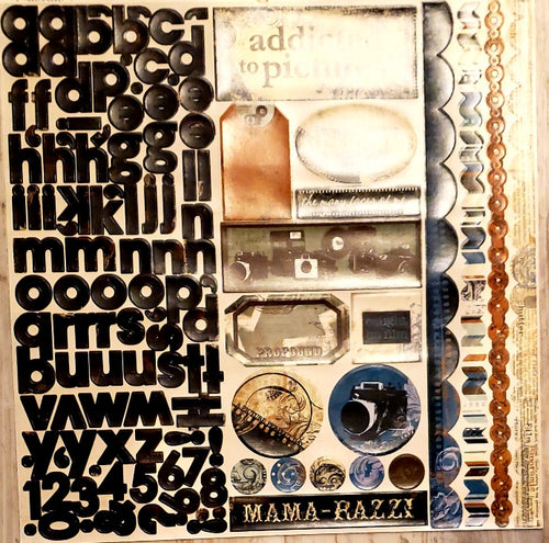 Bo Bunny - cardstock sticker sheet  12 x 12 - Mama-razzi adhesive combo