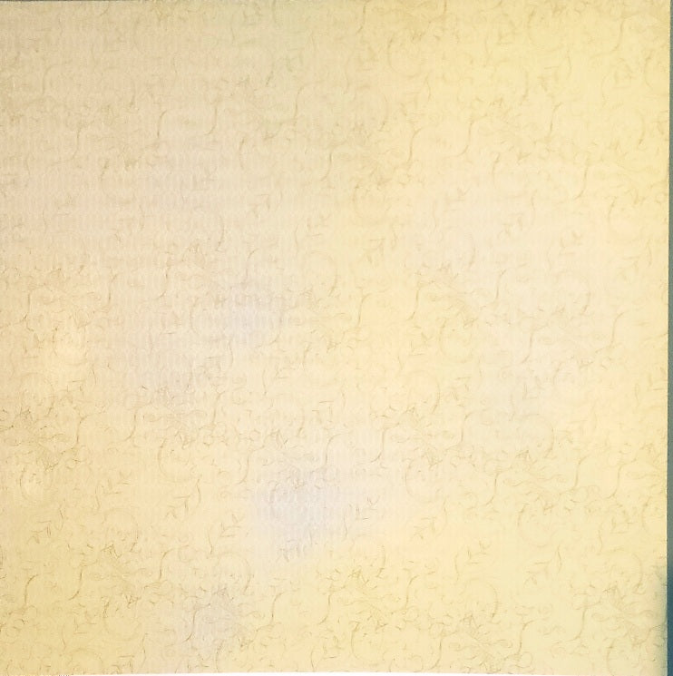 Basic Grey - single sided paper 12 x 12 - euphoria eden