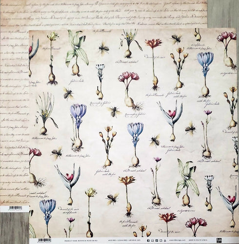 Fab scraps -  double Sided paper 12 x 12 - botanical Bulb and script words