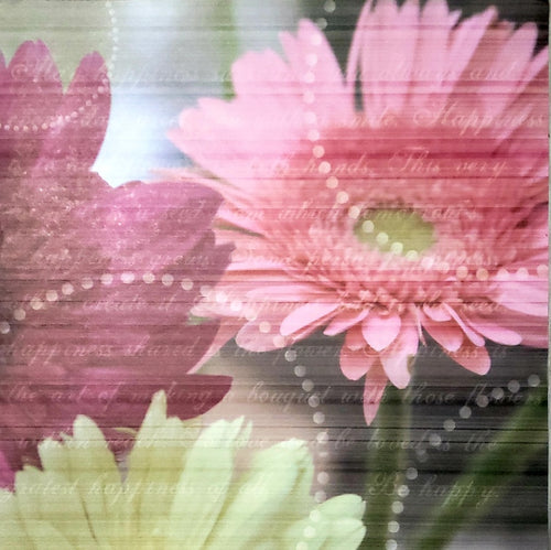 Carolee's creations -  single Sided card stock paper 12 x 12 - Happiness Grows