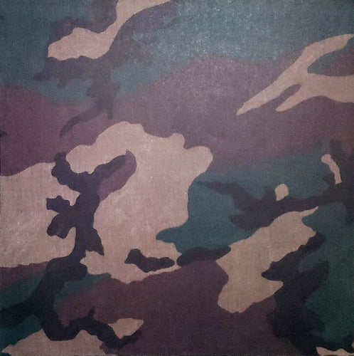 Colorbok  - single sided paper 12 x 12 - GI camo - camouflage