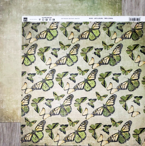 Fab scraps -  double Sided paper 12 x 12 - fantasy flight butterfly and green distressed