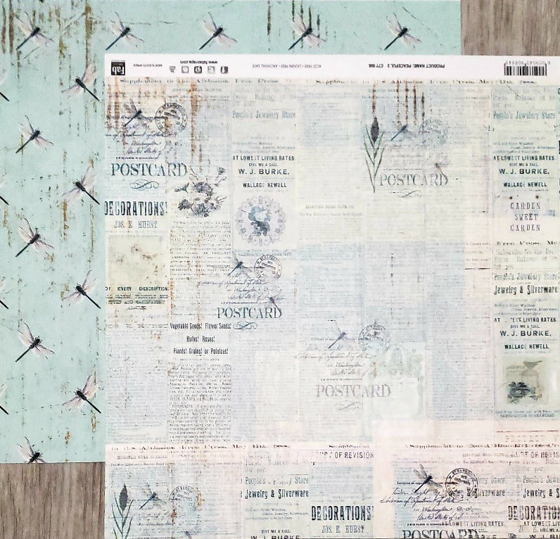 Fab scraps -  double Sided paper 12 x 12 - peaceful 2 and dragonfly