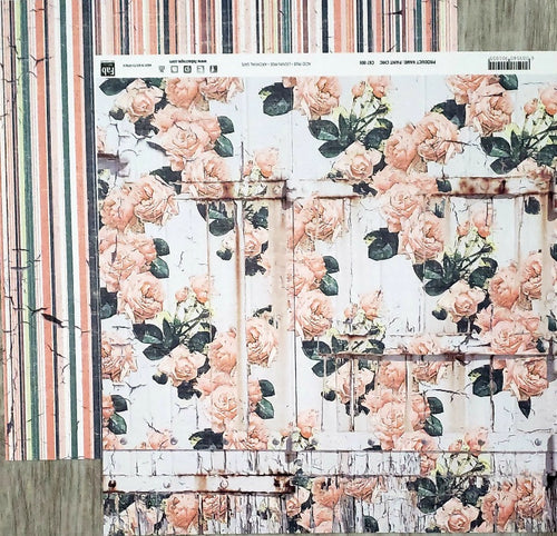 Fab scraps -  double Sided paper 12 x 12  - paint Chic floral and stripe