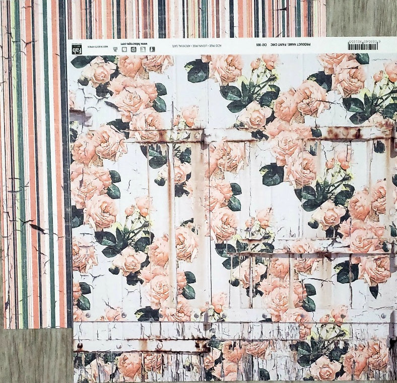 Fab scraps -  double Sided paper 12 x 12  - paint Chic floral and stripe