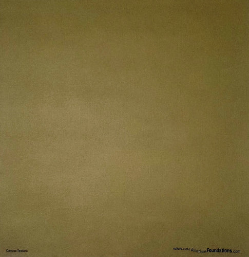 Core'dinations - foundations  textured solid color cardstock - 12 x 12 - mossy green