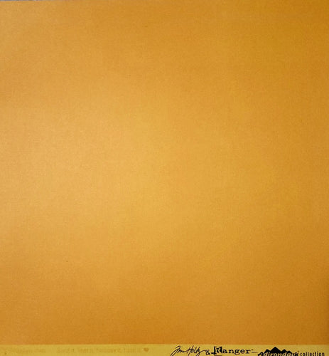 Core'dinations -  textured solid color cardstock - 12 x 12 - Tim Holtz Ranger Adirondack- butterscotch orange / yellow