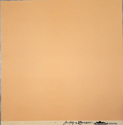 Core'dinations -  textured solid color cardstock - 12 x 12 - Tim Holtz Ranger Adirondack- Peach Bellini