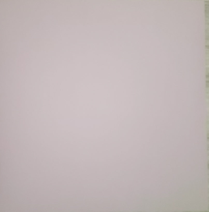 Bazzill texture  solid color cardstock - 12 x 12 - pale purple