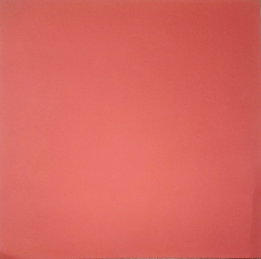 Texture canvas solid color cardstock - 12 x 12 - hot pink