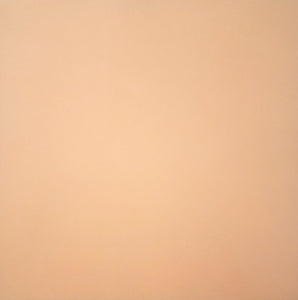 Smooth solid color cardstock - 12 x 12 - dark peach