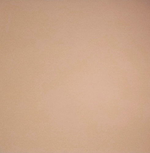 Bazzill texture solid color cardstock - 12 x 12 - iced cocoa brown