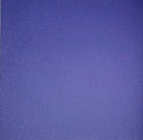 Bazzill texture solid color cardstock - 12 x 12 - purple edge faded