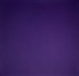 Bazzill solid color cardstock - 12 x 12 - grape purple