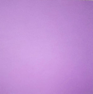 Bazzill solid color cardstock - 12 x 12 -  smooth purple