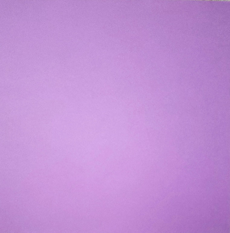 Bazzill solid color cardstock - 12 x 12 -  smooth purple