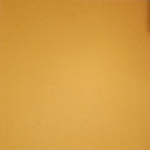 Bazzill solid color cardstock - 12 x 12 - texture pumpkin