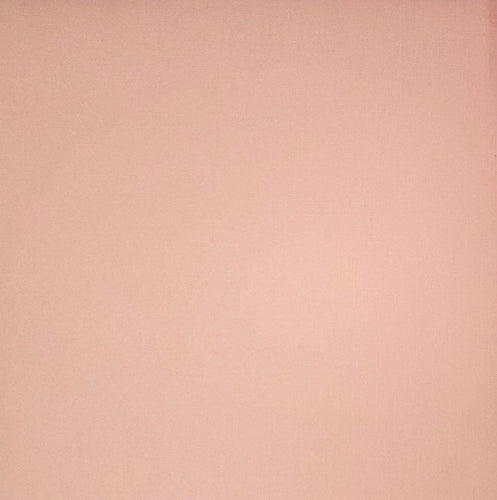 Bazzill texture color cardstock - 12 x 12 - light pink