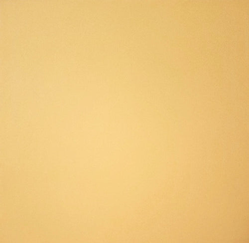 Bazzill texture color cardstock - 12 x 12 - light pumpkin