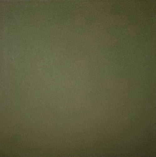 ANW Crestwood solid smooth color cardstock - 12 x 12 - olive green
