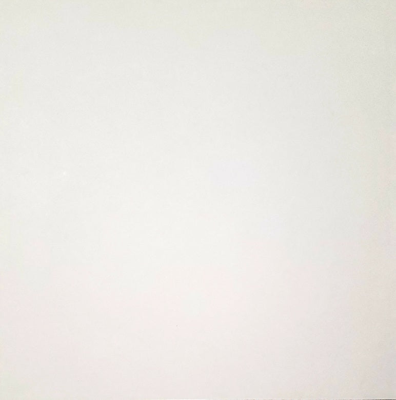 ANW Crestwood solid smooth color cardstock - 12 x 12 - light grey