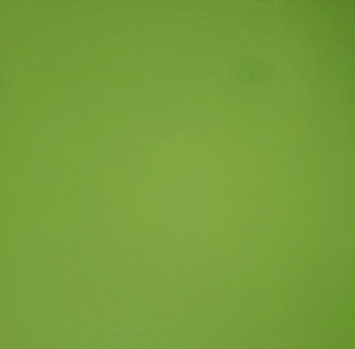 ANW Crestwood solid smooth color cardstock - 12 x 12 - Bright neon Green
