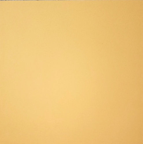 Bazzill texture solid color cardstock - 12 x 12 - orange dream line texture