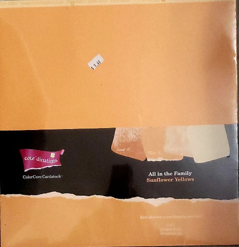 Core'dinations cardstock All in the family Paper Pack 12