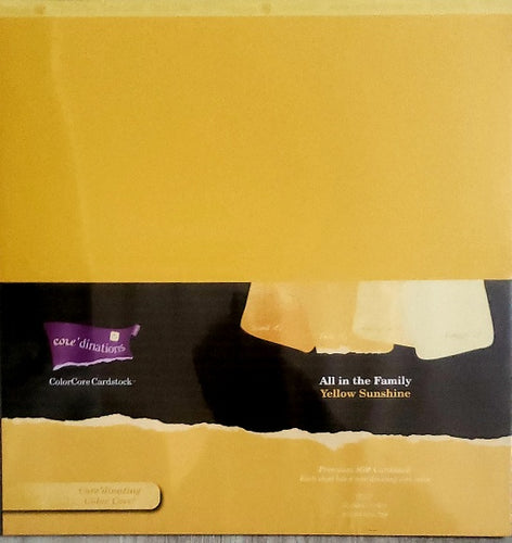 Core'dinations cardstock All in the family Paper Pack 12