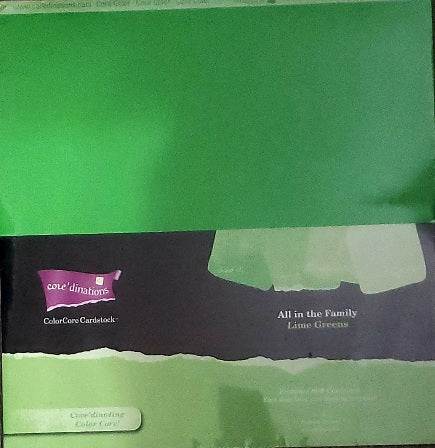 Core'dinations cardstock All in the family Paper Pack 12