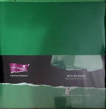 Core'dinations cardstock All in the family Paper Pack 12