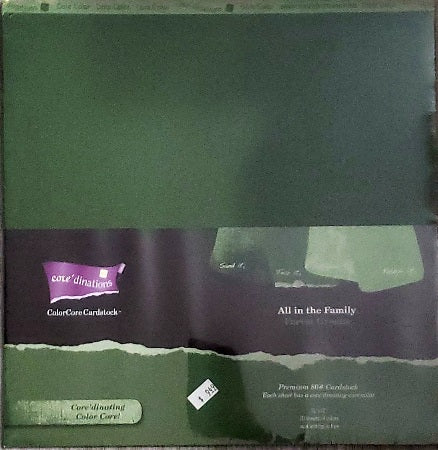 Core'dinations cardstock All in the family Paper Pack 12
