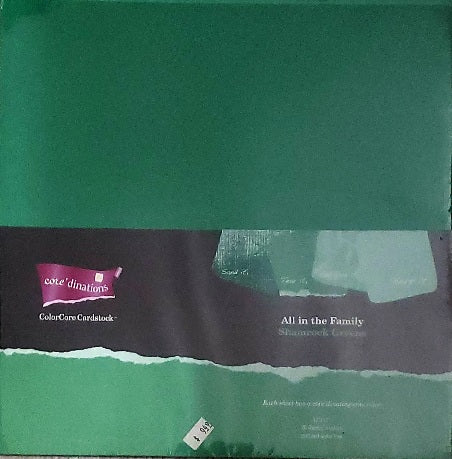 Core'dinations cardstock All in the family Paper Pack 12