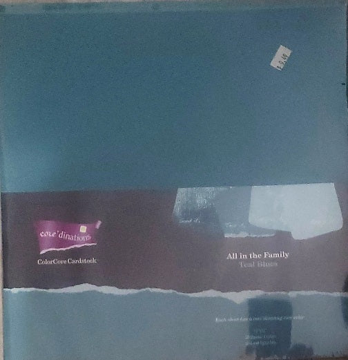 Core'dinations cardstock All in the family Paper Pack 12