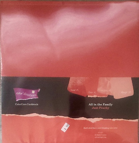 Core'dinations cardstock All in the family Paper Pack 12