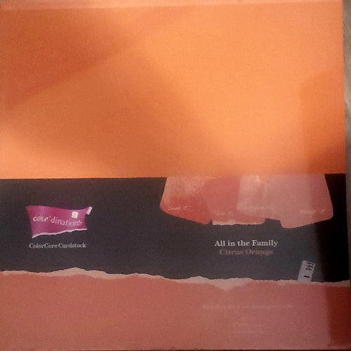 Core'dinations cardstock All in the family Paper Pack 12