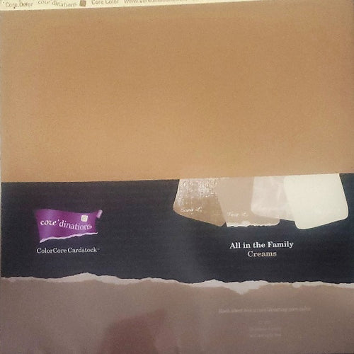 Core'dinations cardstock All in the family Paper Pack 12