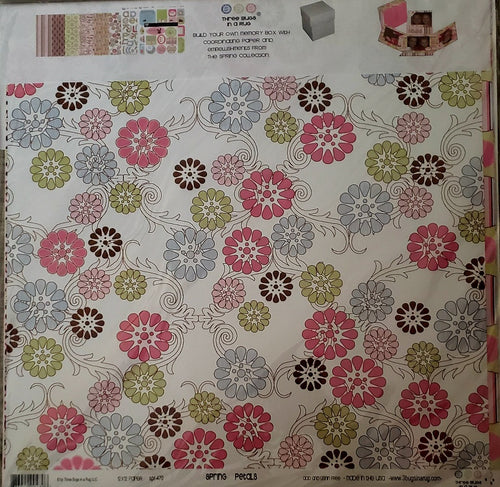 Three bugs in a rug - 12 x 12 explosion memory box page kit - spring