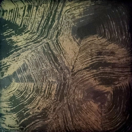 12 x 12 scrapbook single sided paper  - turtle print