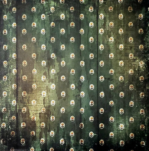 Daisy D's single Sided paper 12 x 12 - flowers on distress background