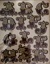 Load image into Gallery viewer, My Minds Eye 12 x 15 XL monogram punchout sheet- Tres Jolie Oui Oui