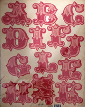 Load image into Gallery viewer, My Minds Eye 12 x 15 XL monogram punchout sheet- Tres Jolie ohh la la